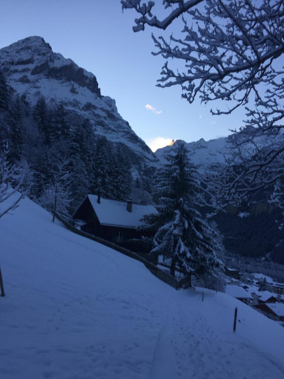 Chalet Gruenegg Grindelwald Zewnętrze zdjęcie