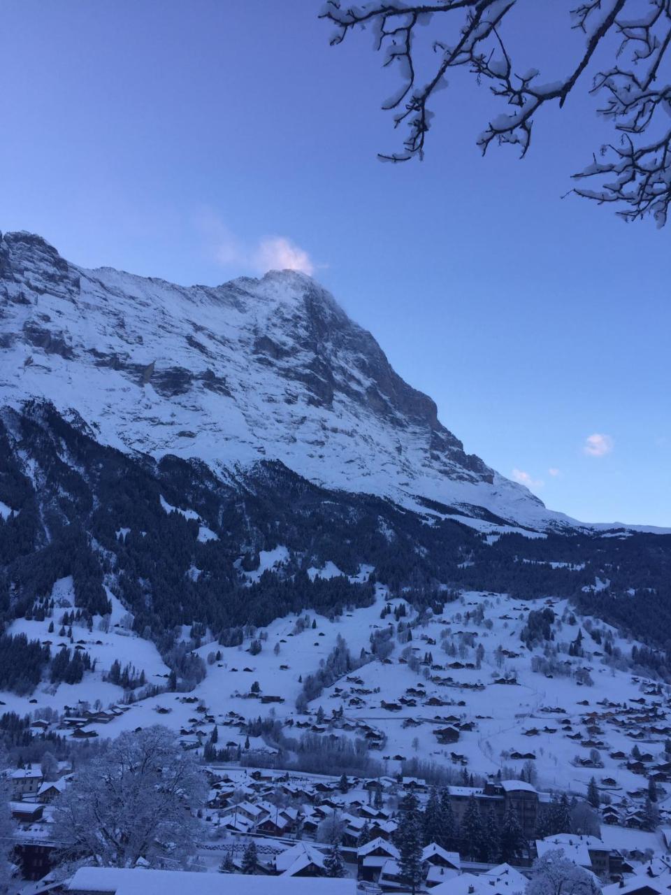 Chalet Gruenegg Grindelwald Zewnętrze zdjęcie