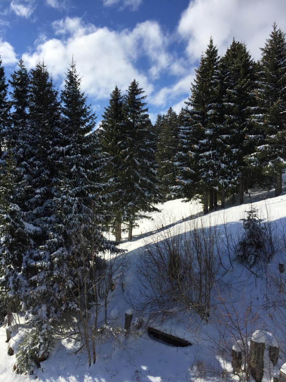 Chalet Gruenegg Grindelwald Zewnętrze zdjęcie